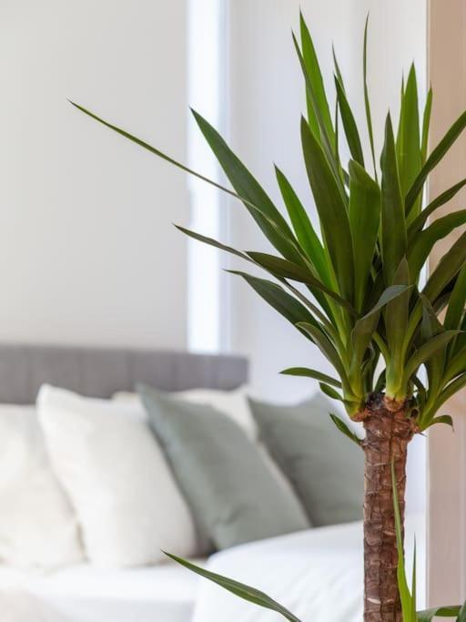 Stylish Apartment - Casa Leone - Center 的里雅斯特 外观 照片